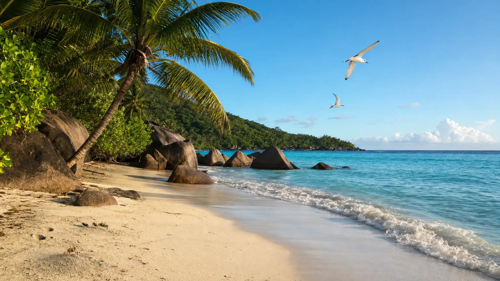 Fotorealistisk bild renderad av gpt-image-2 från Astras prompt: en tropisk strand med turkost hav, ljus sand, rundslipade granitblock i vattenbrynet, kokospalmer som lutar mot havet, två vita tropikfåglar i luften och tre små spökkrabbor på sanden